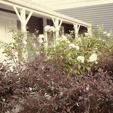 Apartment On St Georges Havelock North Bagian luar foto